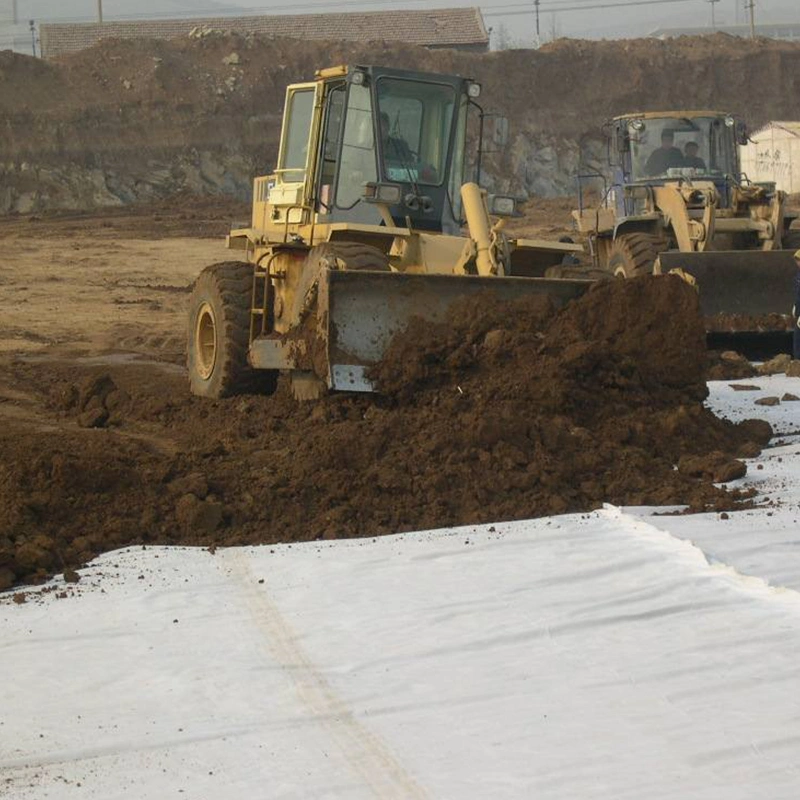 Geosynthetisches Material, nicht gewebtes Geotextilgewebe, PET 1