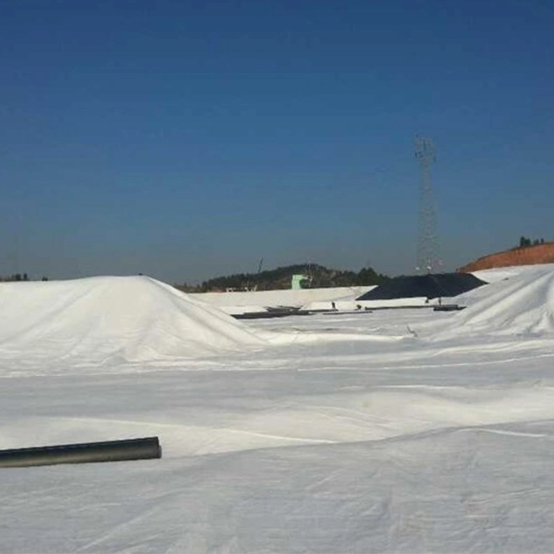 Geosynthetisches Material, nicht gewebtes Geotextilgewebe, PET 2