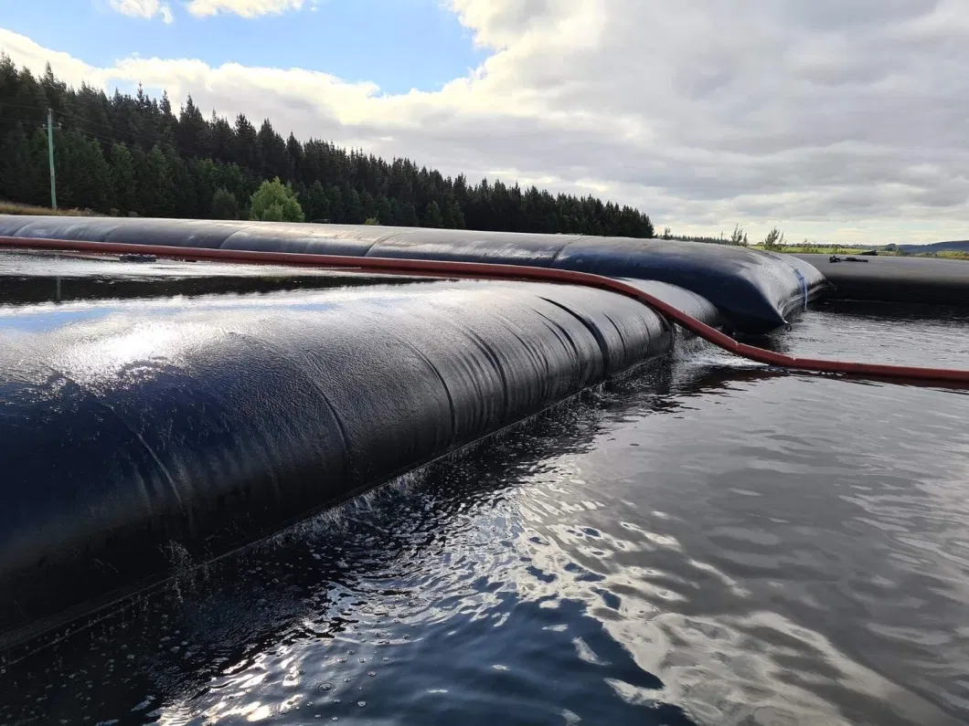 Maßgeschneiderte Küstenstrand-Geotube-Entwässerungsbeutel ISO 9001 0