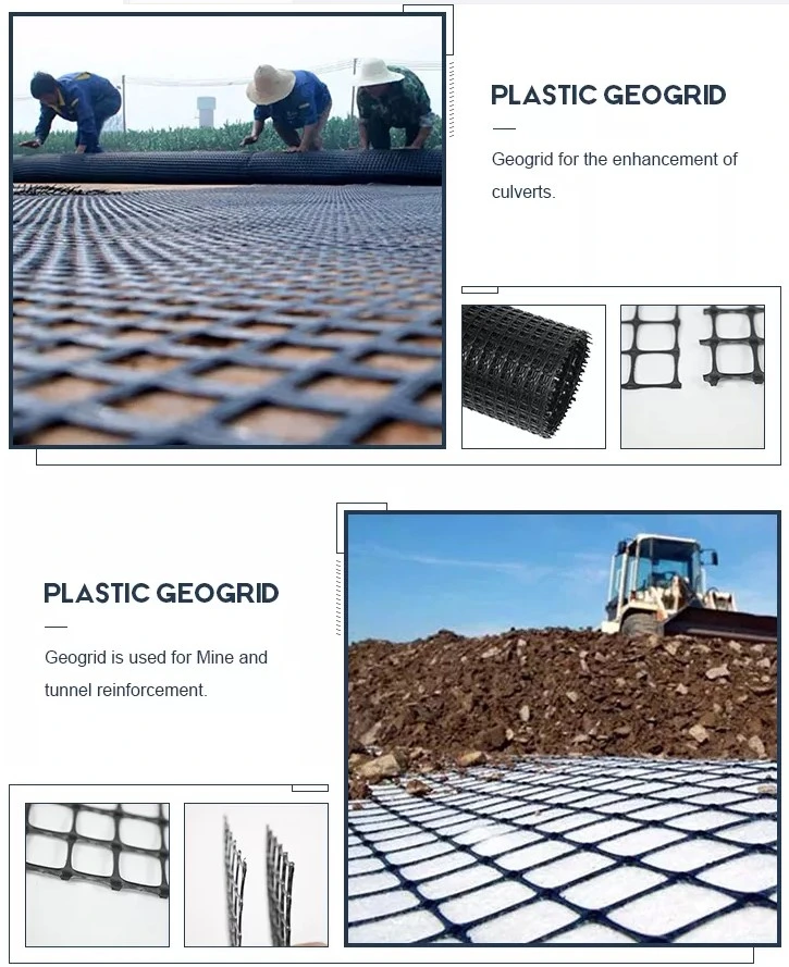  Geogrid-Preise HDPE pp. der hohen Qualität zweiachsiges einachsiges