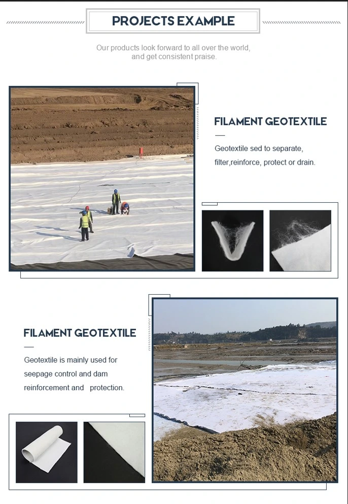 Umfassende billige Geotextilien 200 weiße Filtrations-Verdammungs-Zwischenlagen-Chinas - 800GSM 2