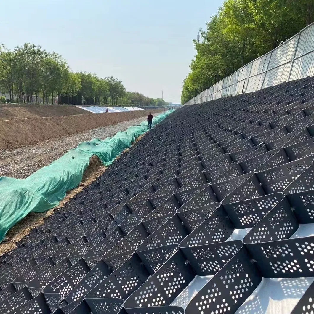 50 mm hochfeste HDPE-Geocell zum Schutz von Einfahrtsstraßen 3