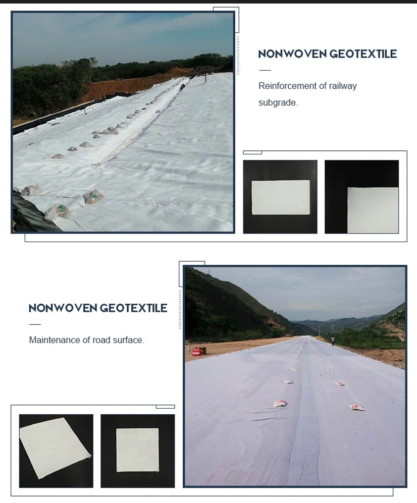 Straßenbau Geotextil Geogrid Bodenerosionskontrolle 2