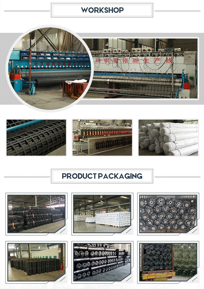 Stahl-Plastik-Geogrid für stabilisierte Kiesoberflächenunterlage und Verstärkungsnetz 5