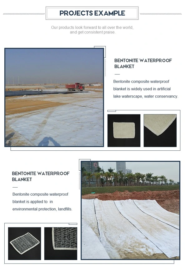 Wasserdichte Natriumbentonit-Liner Geosynthetische Ton-Liner für Deponienprojekt 4
