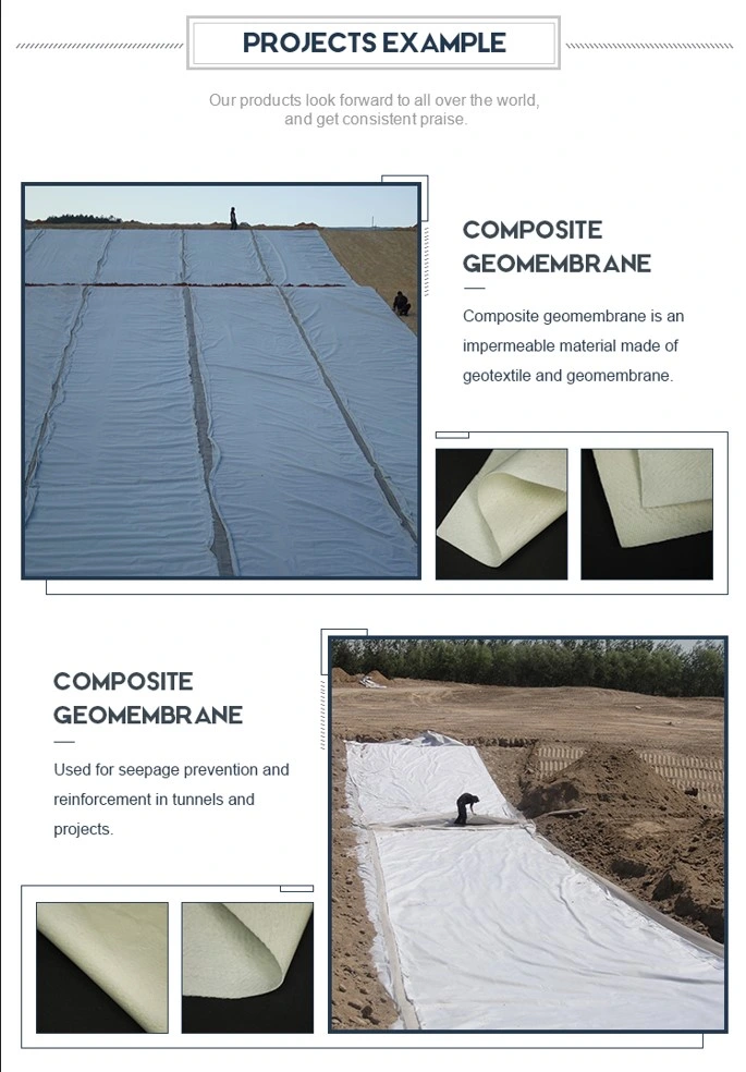 Verbundene Geomembran-Liner mit Geotextil für die Aquakultur Flussbehandlung Mülldeponien 2