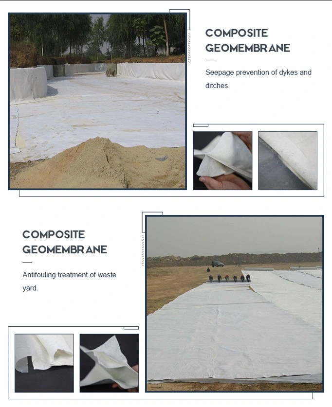 Verbundene Geomembran-Liner mit Geotextil für die Aquakultur Flussbehandlung Mülldeponien 3