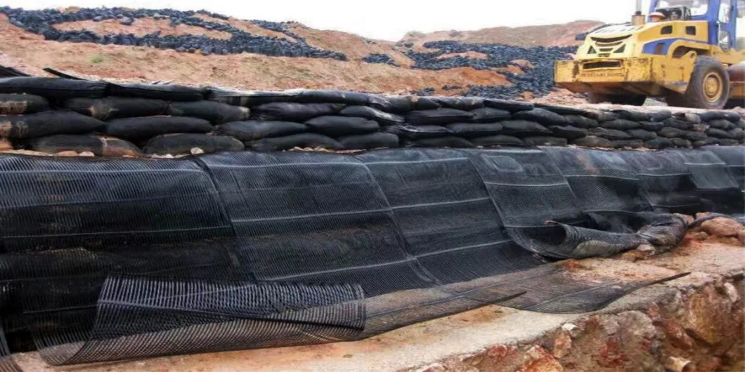 Geo-Gitter-Grund-Gitter-Plastik-Ein-Achsen-Polyester-Geogrid-Ein-Achsen-Schotter-Gitter-Ground für Einfahrt-Keller 1