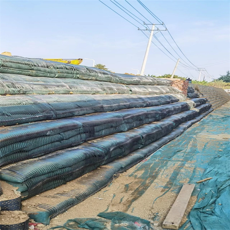 Geo-Gitter-Grund-Gitter-Plastik-Ein-Achsen-Polyester-Geogrid-Ein-Achsen-Schotter-Gitter-Ground für Einfahrt-Keller 9