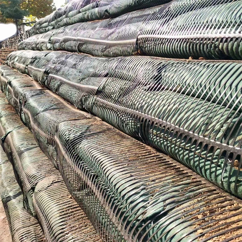 Geo-Gitter-Grund-Gitter-Plastik-Ein-Achsen-Polyester-Geogrid-Ein-Achsen-Schotter-Gitter-Ground für Einfahrt-Keller 10