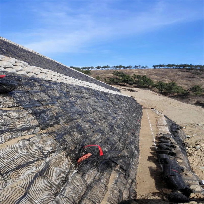 Geo-Gitter-Grund-Gitter-Plastik-Ein-Achsen-Polyester-Geogrid-Ein-Achsen-Schotter-Gitter-Ground für Einfahrt-Keller 12