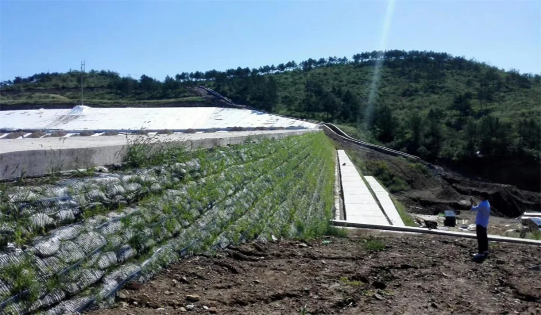 Geo-Gitter-Grund-Gitter-Plastik-Ein-Achsen-Polyester-Geogrid-Ein-Achsen-Schotter-Gitter-Ground für Einfahrt-Keller 13
