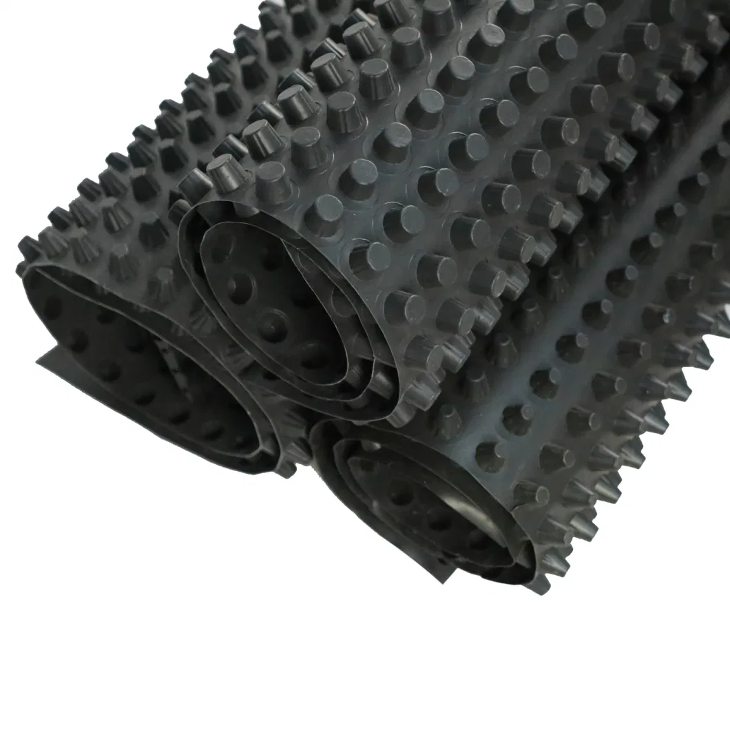 Projekt zur Vergrößerung der Abwassermembran mit Grübchen PVC Perforierter Abwasserbrett Grundarbeiten Wasserlösung Wasserlösung 9