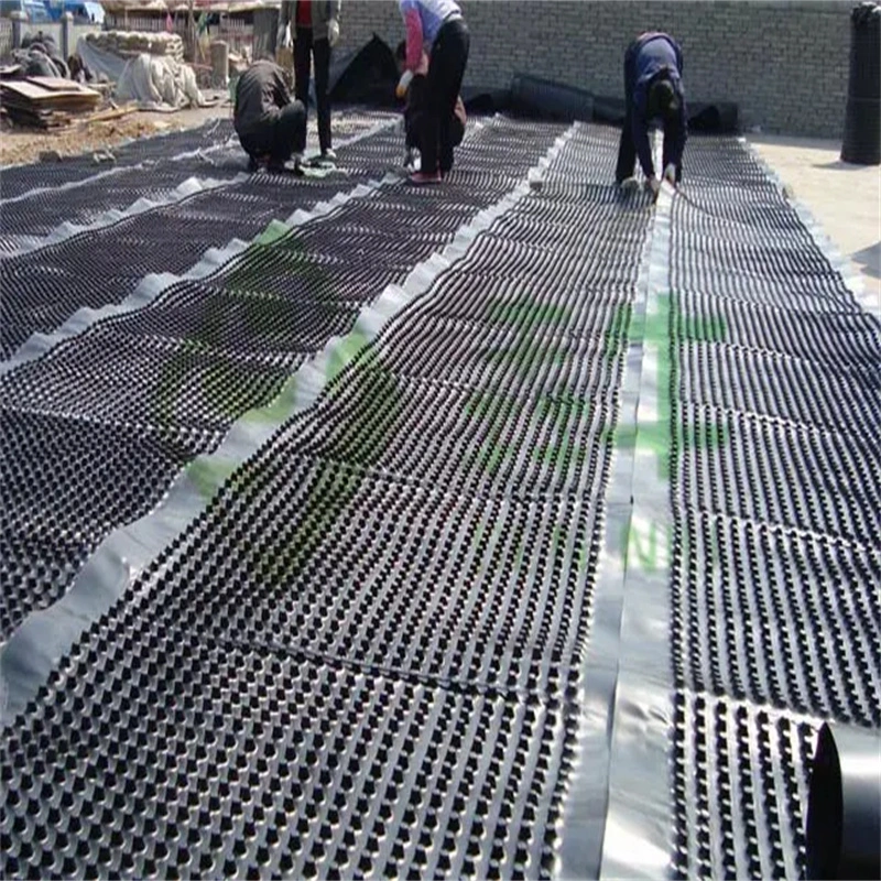 Projekt zur Vergrößerung der Abwassermembran mit Grübchen PVC Perforierter Abwasserbrett Grundarbeiten Wasserlösung Wasserlösung 15