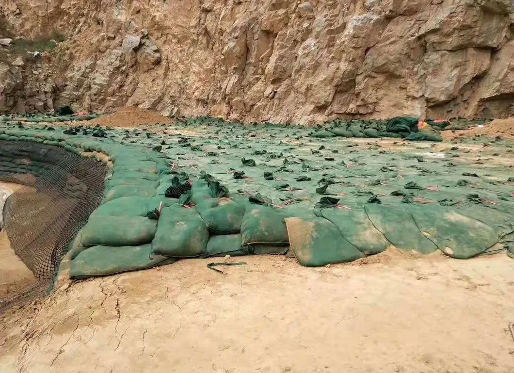 Geobags aus Polyester / PP für den Schutz von Steilungen und Grasdämmen zum Schutz der ökologischen Umwelt 0