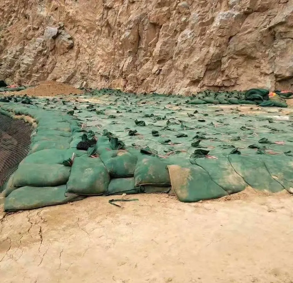 Geobags aus Polyester / PP für den Schutz von Steilungen und Grasdämmen zum Schutz der ökologischen Umwelt 11