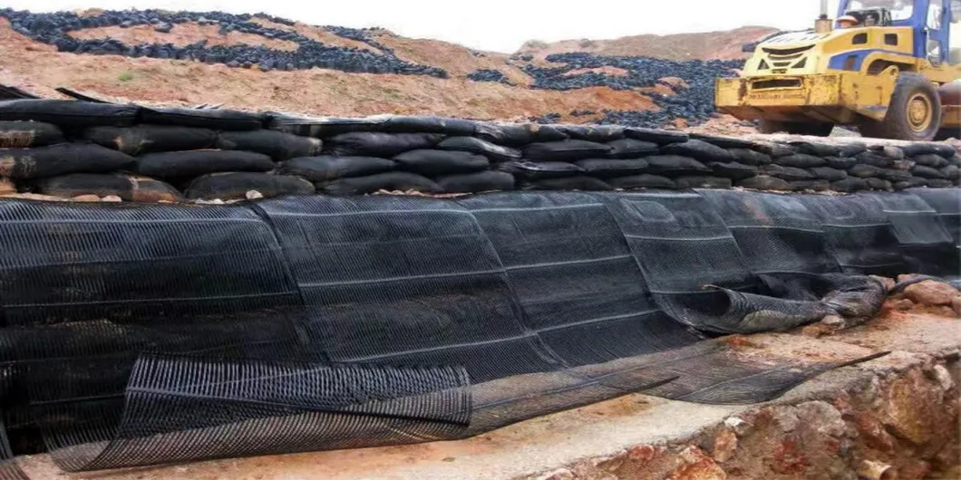 PP-Plastik-PE-Einweg-Ein-Achsen-Polyester-Geogrid-Schotternetz-Bodenstabilisator zur Bodenverstärkung 1