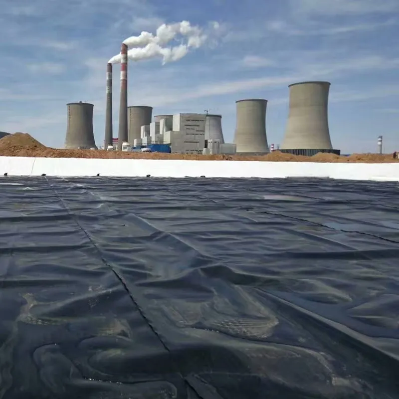 Outdoor-Polyethylen-Fischfarm-Geomembran-Teichfolie HDPE-Abdichtungsfolie Große Teichfolie Wasserdichte Geomembran-Teichfolie 1