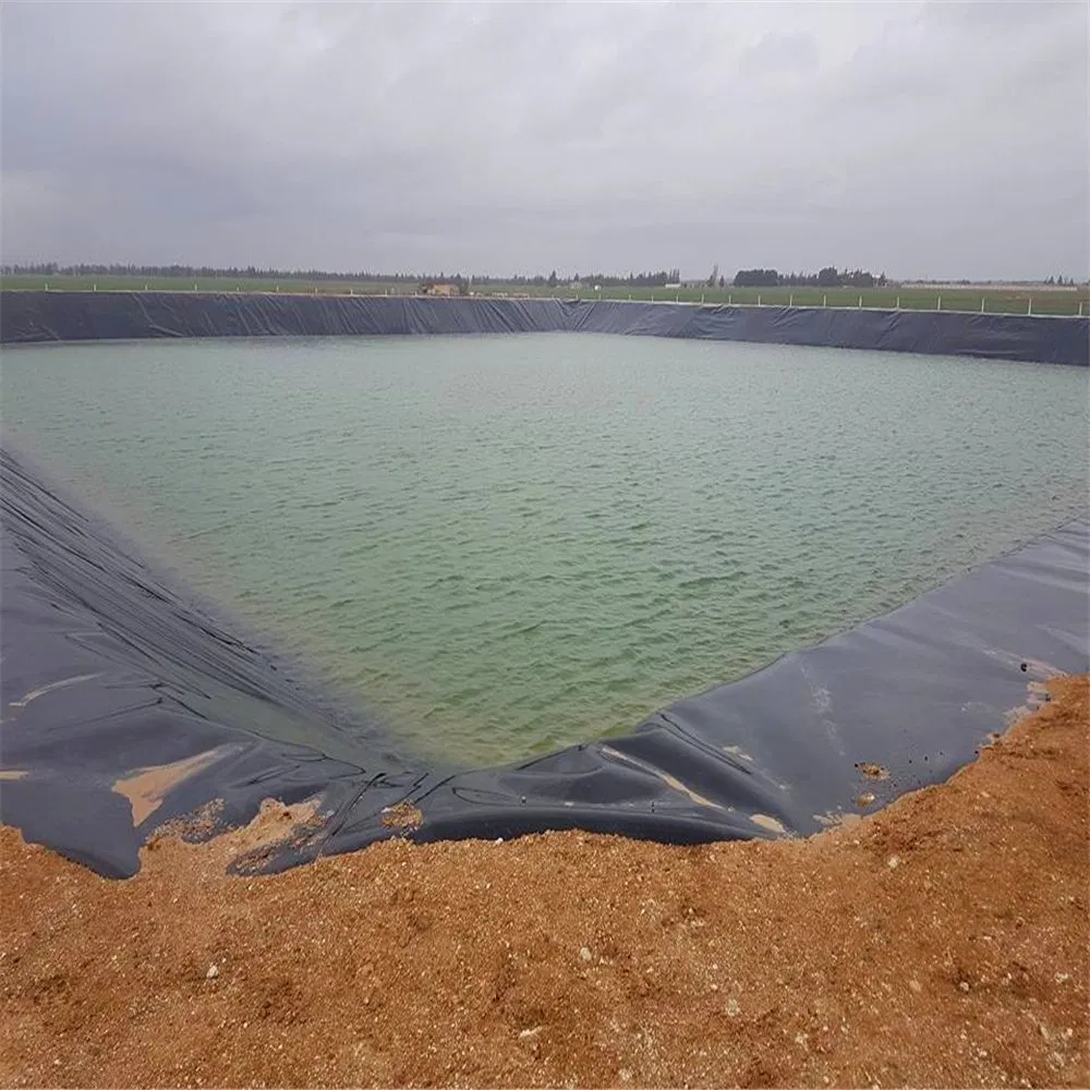 Outdoor-Polyethylen-Fischfarm-Geomembran-Teichfolie HDPE-Abdichtungsfolie Große Teichfolie Wasserdichte Geomembran-Teichfolie 2
