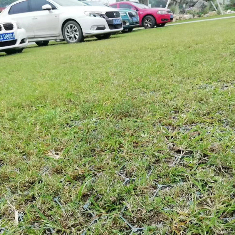 Ineinander greifenauto-Parkgitter des rasen-200ton/Sqm Plastikfür Parkplatz-Verstärkung