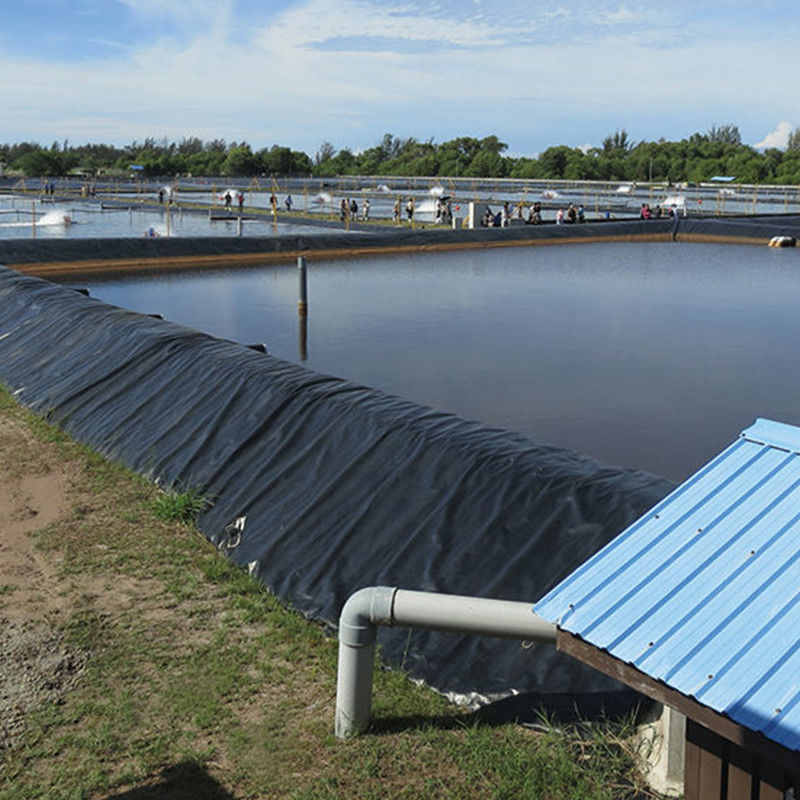 Wasserdichte HDPE-Geomembran-Teichfolie für Wasserbehälter