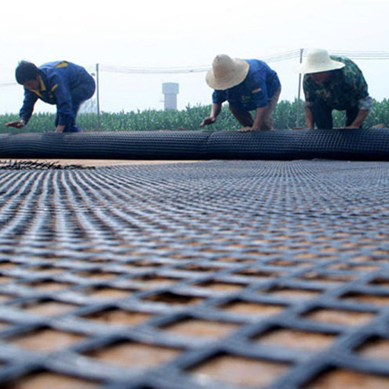 80kn Stahl-Plastik-Geogrid mit Säure- und Alkalibeständigkeit für Abhangschutz