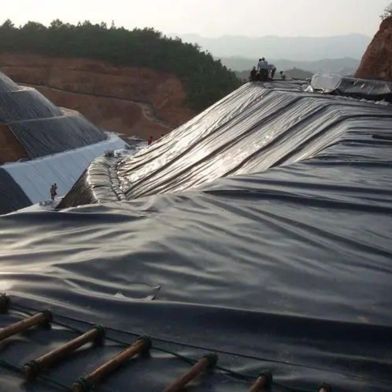0.5mm 1mm 1.5mm Kunststoff Wasserdicht Aquakultur Geomembran Hdpe Liner Fischfarm Großhandel Geomembran Teich Liner
