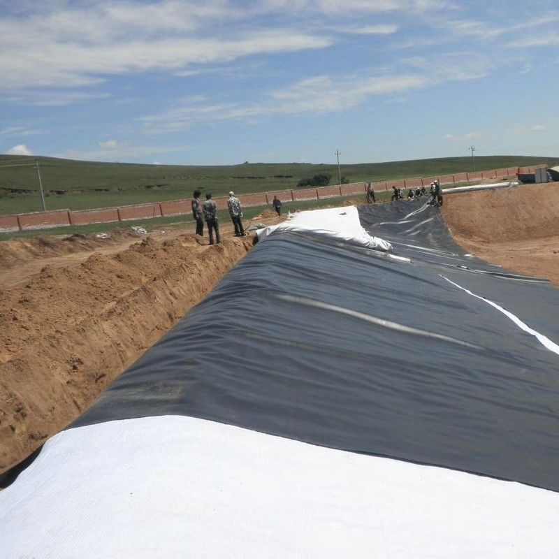 0.5mm 1mm 1.5mm Kunststoff Wasserdicht Aquakultur Geomembran Hdpe Liner Fischfarm Großhandel Geomembran Teich Liner