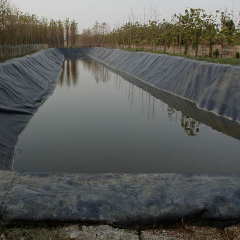 100% unberührtes Material ASTM Standard GM13 HDPE Geomembran Liner 0,3 mm 0,5 mm 1,0 mm 1,5 mm 2,0 mm für Deponien / Garnelenbecken