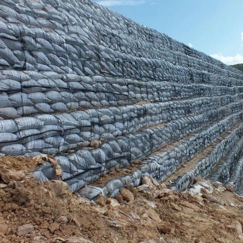 Geo-Gitter-Grund-Gitter-Plastik-Ein-Achsen-Polyester-Geogrid-Ein-Achsen-Schotter-Gitter-Ground für Einfahrt-Keller