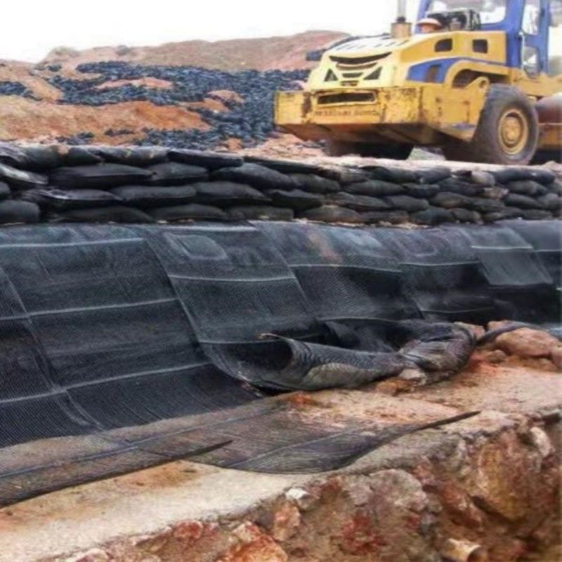 Geo-Gitter-Grund-Gitter-Plastik-Ein-Achsen-Polyester-Geogrid-Ein-Achsen-Schotter-Gitter-Ground für Einfahrt-Keller