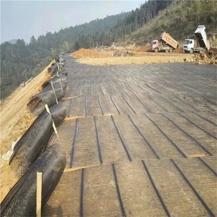Geo-Gitter-Grund-Gitter-Plastik-Ein-Achsen-Polyester-Geogrid-Ein-Achsen-Schotter-Gitter-Ground für Einfahrt-Keller