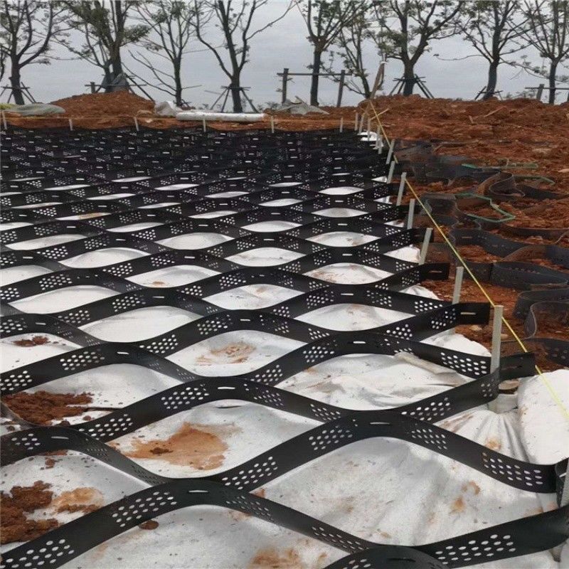 Hohe Honighals-Schwarze HDPE Geocell Verstärkung Auffahrt für Straßen Kies Stabilisator Gitter Stützwand Damm