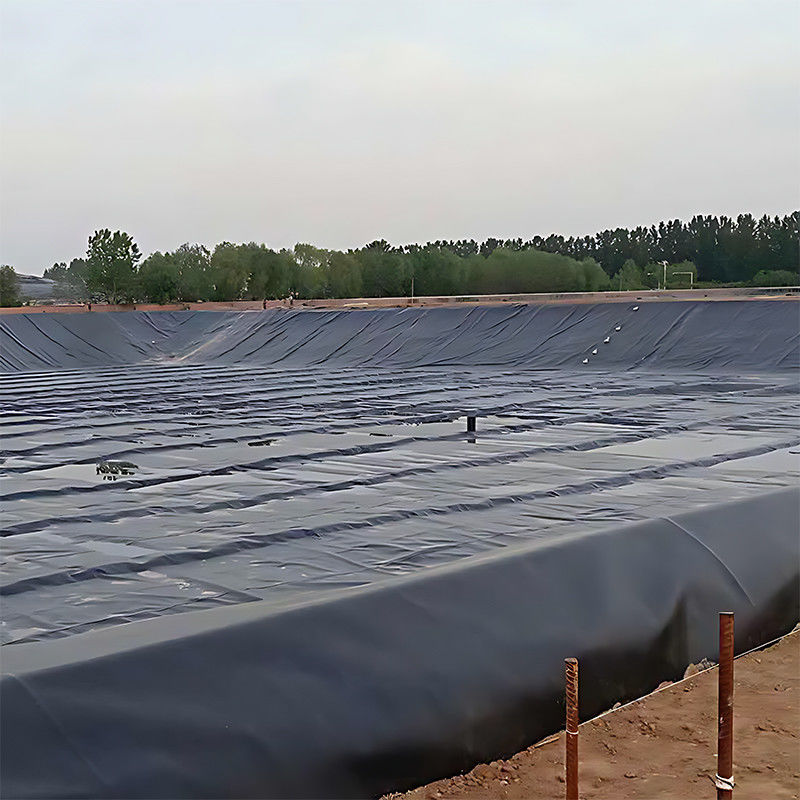 ASTM 100% Jungfrau Wasserdicht Aquakultur Teich Liner Hohe Dichte HDPE Geomembran Damm Teich Liner