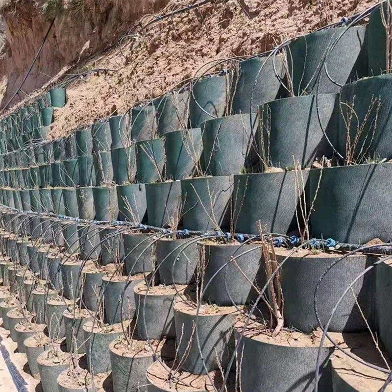 Textured High Cellular Confinement System Honeycomb HDPE Geocell für die Straße Fundament Abhangschutz Parkplatz Einfahrt Aufstellungsmauer