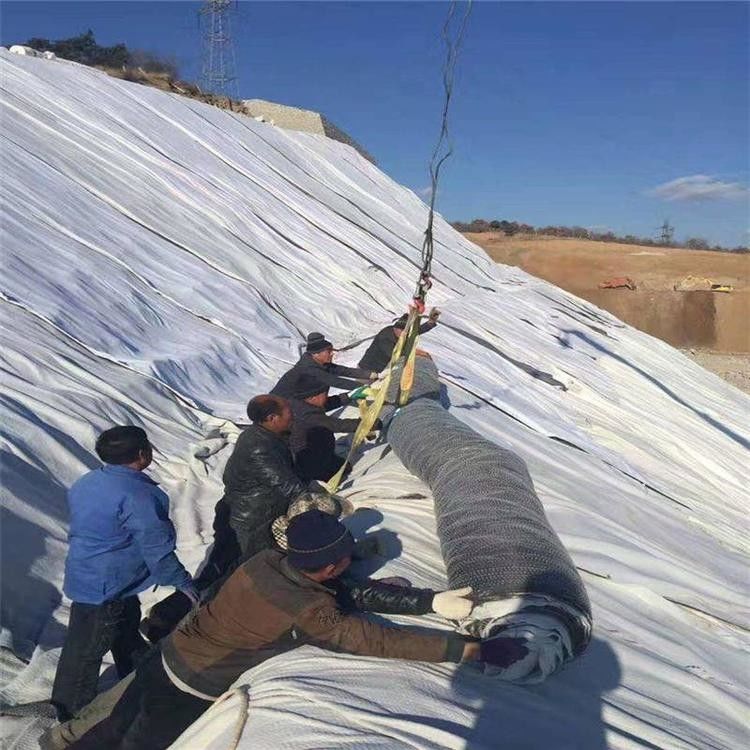 Geosynthetische GCL-Liner-Matte für Teiche, Bentonit-Geosynthetische Matte für Deponien
