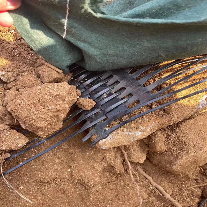 PP-Plastik-PE-Einweg-Ein-Achsen-Polyester-Geogrid-Schotternetz-Bodenstabilisator zur Bodenverstärkung