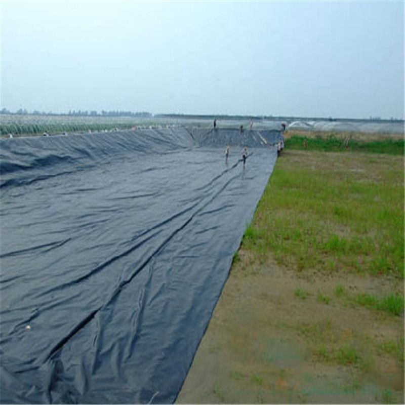 Dauerhafte schwarze HDPE-Geomembran-Teichfolie 0,5 mm ∼2,0 mm für Kreislauf-Fischbecken, Aquakulturbecken, Wasserspeicher und Dammwasserdichtungsanwendungen