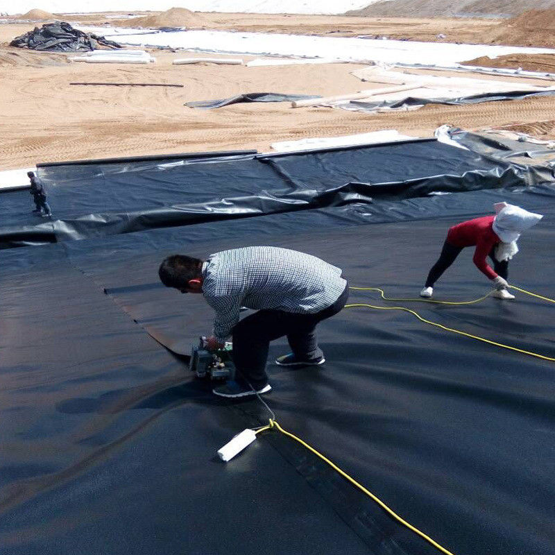 angepasste HDPE LDPE LLDPE PVC Geomembranen Teich Liner für Fisch und Garnelen Teich & verstärktes Polyethylen Teich Liner