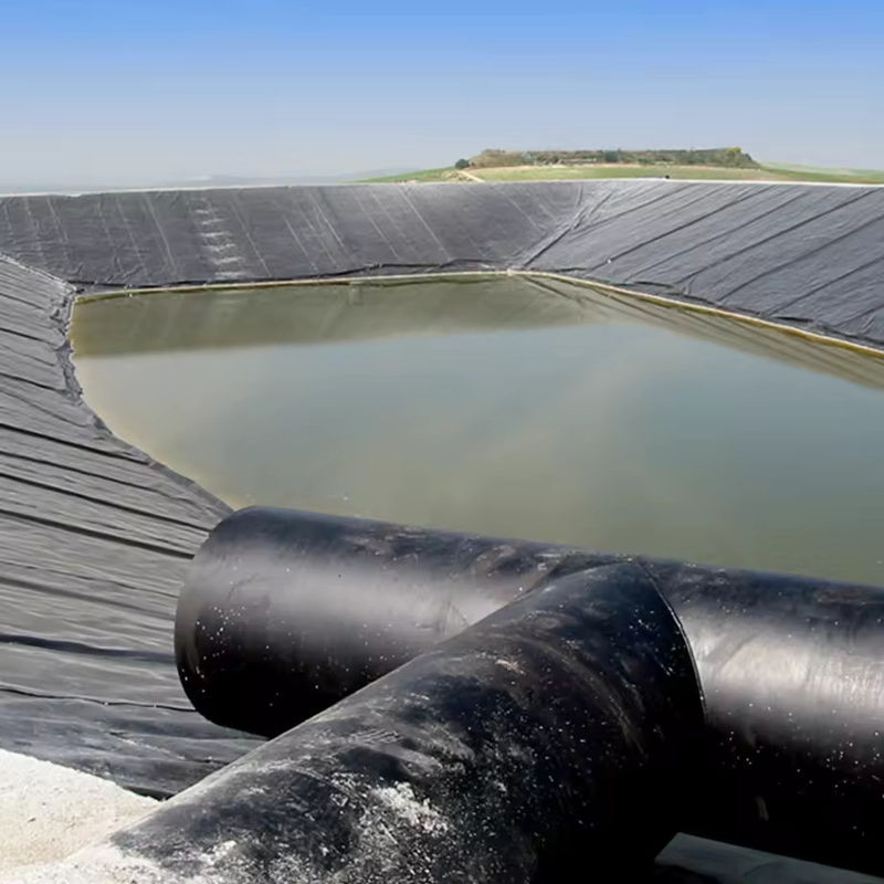 angepasste HDPE LDPE LLDPE PVC Geomembranen Teich Liner für Fisch und Garnelen Teich & verstärktes Polyethylen Teich Liner
