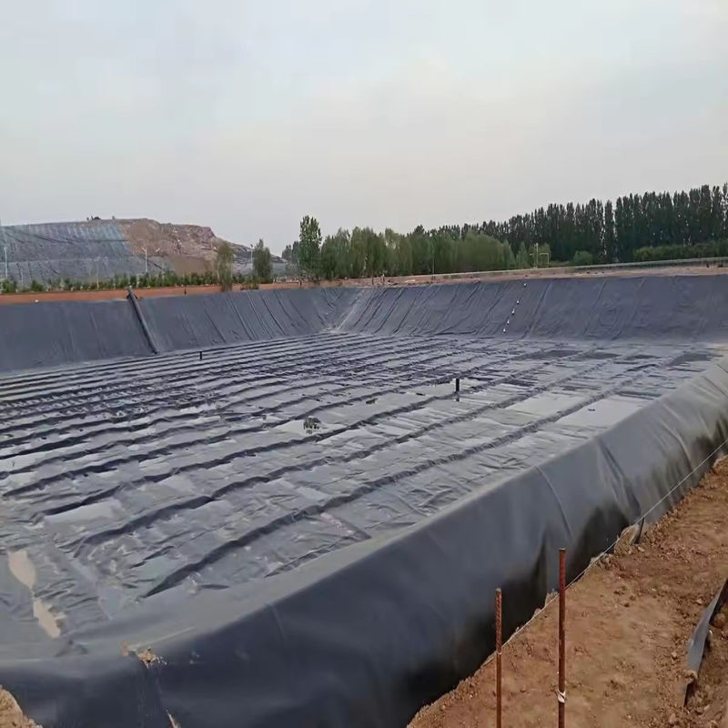 angepasste HDPE LDPE LLDPE PVC Geomembranen Teich Liner für Fisch und Garnelen Teich & verstärktes Polyethylen Teich Liner