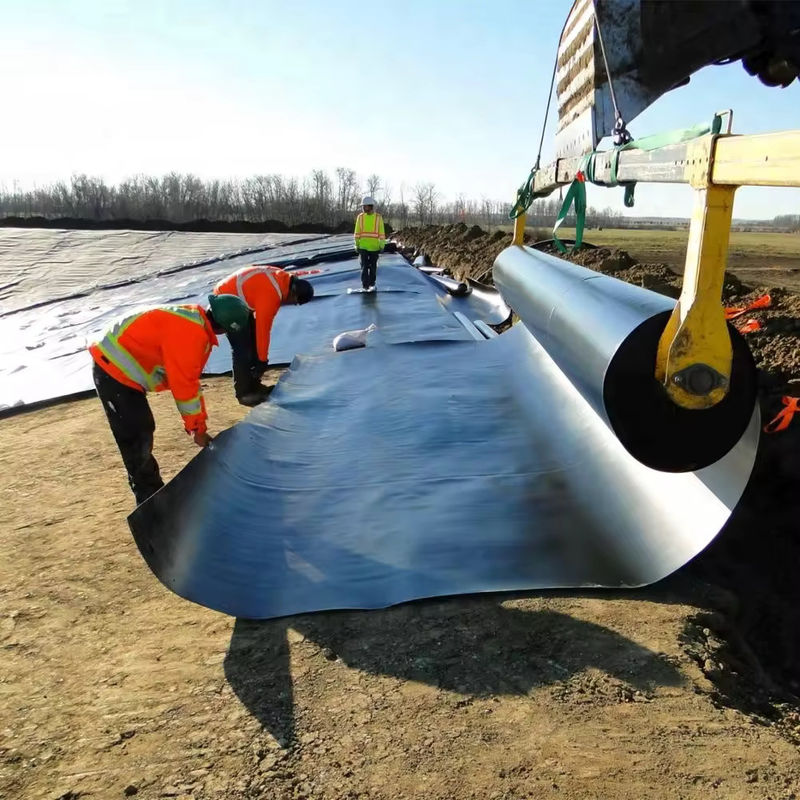 angepasste HDPE LDPE LLDPE PVC Geomembranen Teich Liner für Fisch und Garnelen Teich & verstärktes Polyethylen Teich Liner