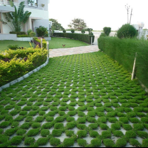 Kunststoffgrasgitter für Parkplatz Feuer-Ausgang HDPE-Pflaster Geogrid für Landschaft Boden Geocell Kies Paddock-Gitter