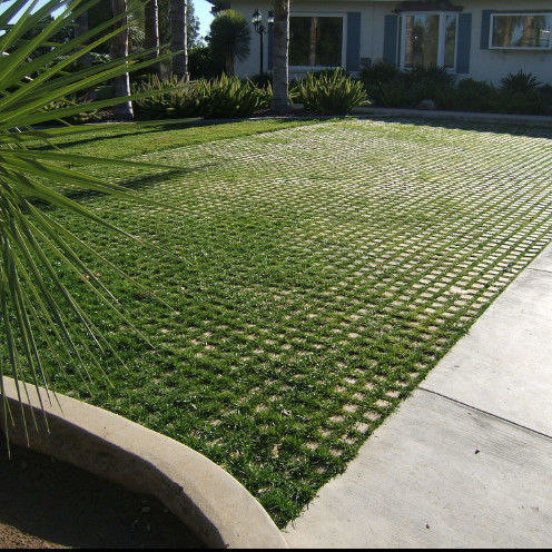 Kunststoffgrasgitter für Parkplatz Feuer-Ausgang HDPE-Pflaster Geogrid für Landschaft Boden Geocell Kies Paddock-Gitter