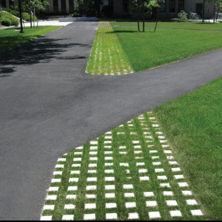 Kunststoffgrasgitter für Parkplatz Feuer-Ausgang HDPE-Pflaster Geogrid für Landschaft Boden Geocell Kies Paddock-Gitter
