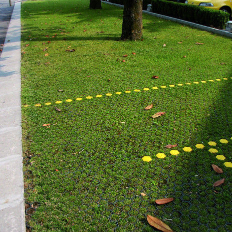 Kunststoffgrasgitter für Parkplatz Feuer-Ausgang HDPE-Pflaster Geogrid für Landschaft Boden Geocell Kies Paddock-Gitter