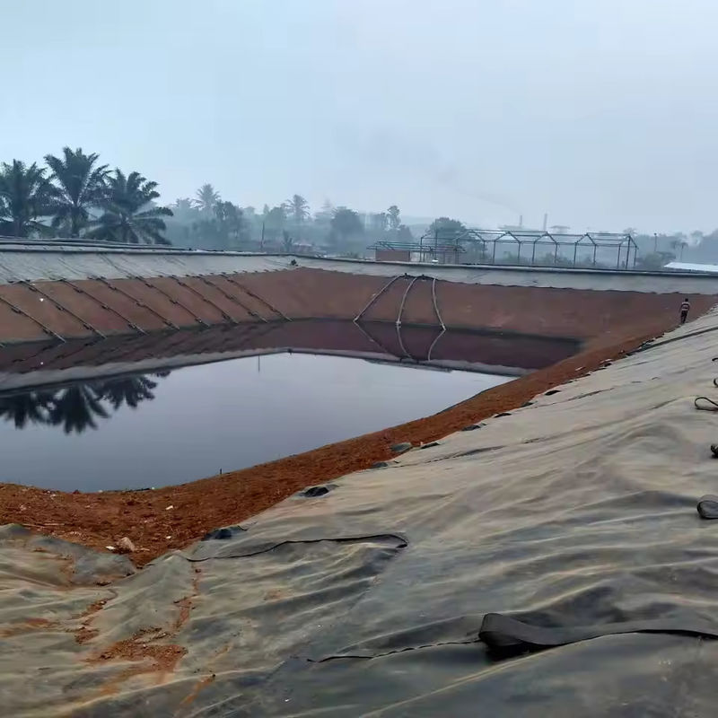 Factory Price Geomembrane Pond Liner 0.5mm 1mm 1.5mm 2mm HDPE LDPE Lldpe PVC EVA High Quality Geomembrane Pond Liner