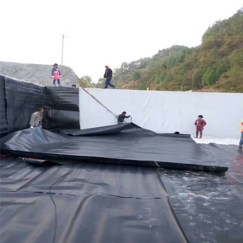 Factory Price Geomembrane Pond Liner 0.5mm 1mm 1.5mm 2mm HDPE LDPE Lldpe PVC EVA High Quality Geomembrane Pond Liner