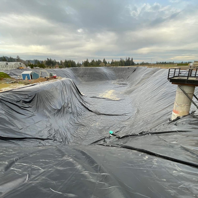 Outdoor-Polyethylen-Fischfarm-Geomembran-Teichfolie HDPE-Abdichtungsfolie Große Teichfolie Wasserdichte Geomembran-Teichfolie