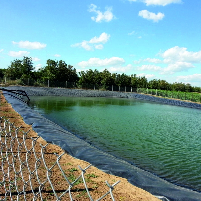 Outdoor-Polyethylen-Fischfarm-Geomembran-Teichfolie HDPE-Abdichtungsfolie Große Teichfolie Wasserdichte Geomembran-Teichfolie